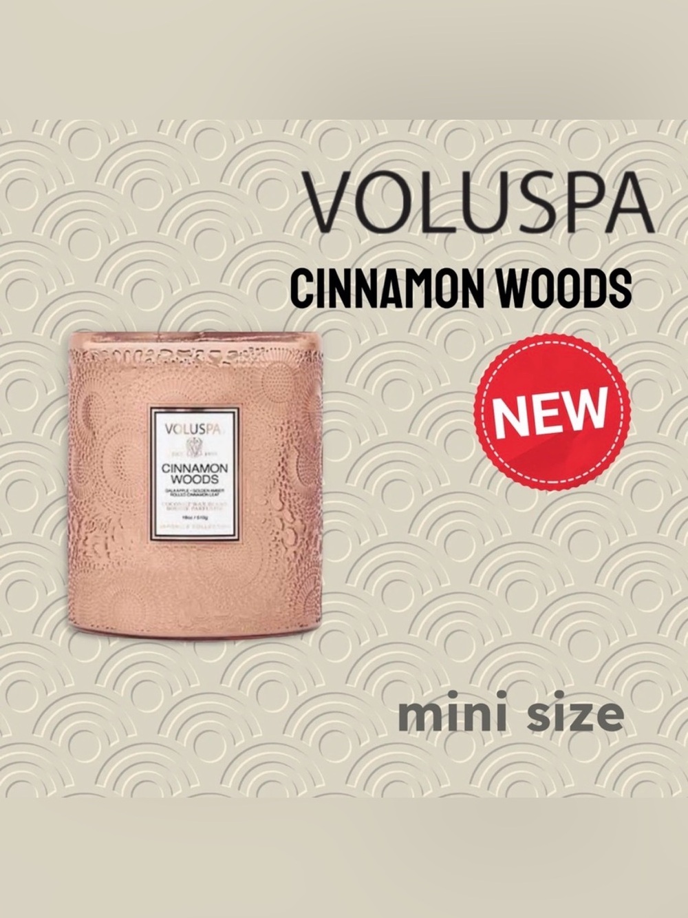 RARE🇺🇸🆕NEW VOLUSPA | MINI | Cinnamon Woods Handcrafted Mini Jar glass candle